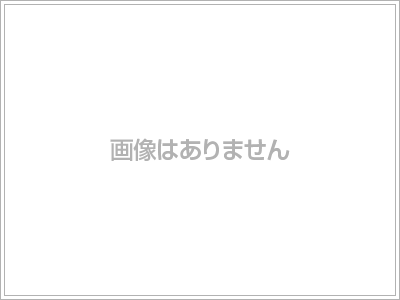 広島県広島市東区中山中町 3階建 築17年4ヶ月