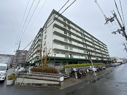 京都府京都市南区吉祥院西ノ庄向田町 7階建 築50年7ヶ月